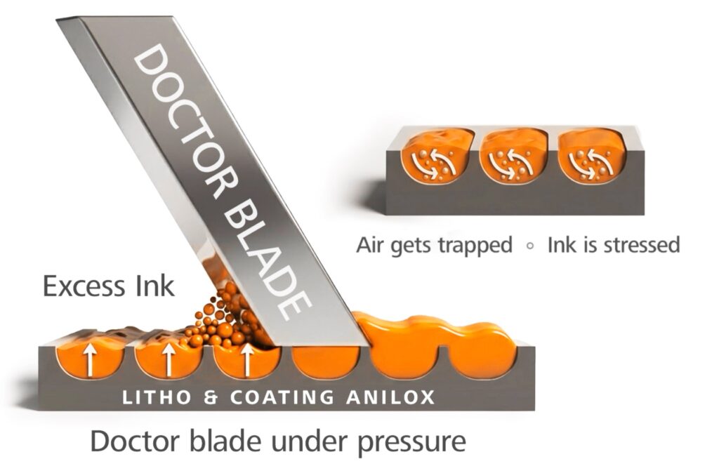 Doctor blade and anilox interaction